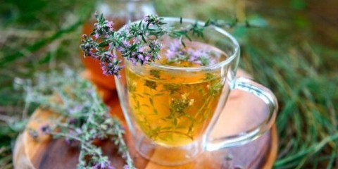 Čaj s timijanom: koristi i štete za muškarce i žene, kako skuhati, recenzije